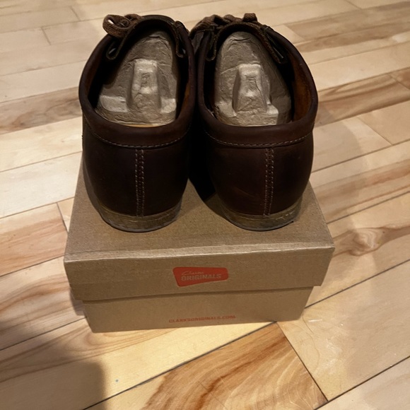 Clark’s wallabies - Picture 5 of 5